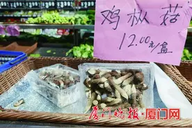 厦门这些菌类新面孔，您尝过没？绣球菌外形口感类似银耳，黑皮鸡枞菌更适合煮汤图片