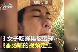 女子直播吃蜂巢被蛰成香肠嘴图片