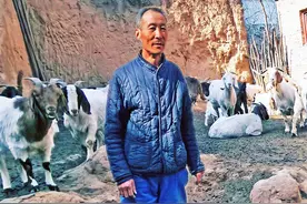 他靠10只羊“滚雪球”，30年赚100万成“暴发户”，有故事图片
