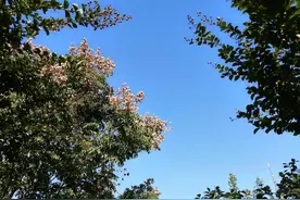 东北人在青岛趣事图片