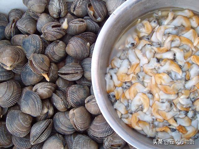 六耳赤嘴鱼胶有收藏价值吗 2026年六耳赤嘴鱼胶的功效和作用