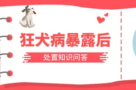 狂犬病已到高发期，暴露后处置知识你得学学图片