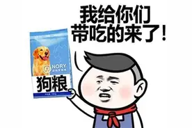 你知道狗狗每天适合吃多少零食吗？图片