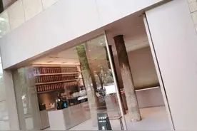城市中的森林咖啡厅（广州探店），悠扬乐曲太惬意图片