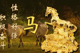 传统文化丨十二生肖之马，你知道原来的马是有翅膀的吗？视频封面
