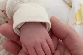 陈法拉官宣产女！晒一家三口牵手与孕肚照，感慨十月怀胎不容易图片