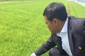 长春市宽城区欣园街道五星村自助胚芽鲜米机 开启消费新体验图片