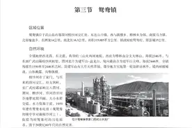 《武山县志》乡镇概况——鸳鸯镇图片
