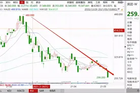 内资巨亏20%！跌妈不认，北水不爱！科技巨头遭疯狂抛售，美团的达摩克利斯之剑图片