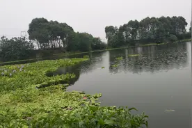详解跑铅钓法：看似简单却有四个隐藏细节，做到位才有好鱼获图片