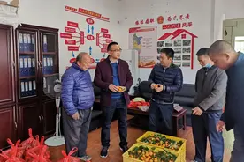 ​云浮市新兴县河头镇：万斤柑橘遭滞销，支部搭桥解民困图片