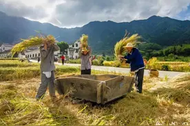 80后小伙靠拼多多卖大米，年销2.5亿，清华点赞的模式确实牛图片