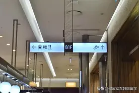 来韩国后真的无法适应的五件事图片