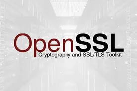 OpenSSL国密爆出8.1分高危漏洞CVE-2021-3711图片