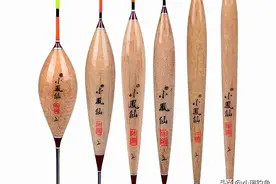 浮漂如何选购？搞懂种类材质及特性，教你3种选法，看完即会图片