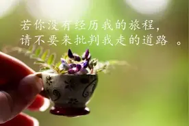 人生感悟经典心情语录图片