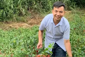 贵州“山里娃”：名校研究生毕业，带领乡亲脱贫致富，如今还创办公司！图片