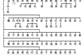 中华姓氏一览图，看看你的姓氏起源哪位帝王！图片
