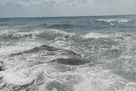 北海涠洲岛，不会再去第二次图片