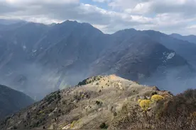 秦岭一个空中村落，20多栋老房子无人居住，院里的草和房子一样高图片