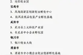 喜报！未央西航航空科技产业园获得省级示范标准认定图片