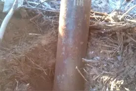 男子在森林里找到埋在土里的间谍装备，是70年前德军埋下的图片