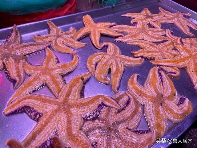 海星能和花胶一齐煲吗 2026年海星花胶可以一起煮吗