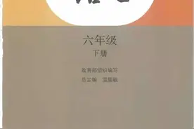 2020年春部编教材六年级下册第六课《骑鹅旅行记》微课及练习图片