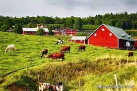 英语原版阅读: I went to the farm图片