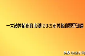 一大波养猪新政来袭 2021年养猪政策早知道 养猪户速看图片