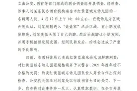 红黄蓝幼儿园：各地至少4次发生涉嫌虐童事件，一年营收超4亿图片