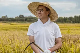 林心如的真实人品如何？周杰因他无戏可拍，难怪林志颖不敢娶图片