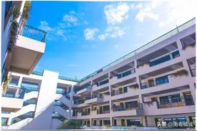 广东深圳又有两所小学进行改扩建，项目预计总投资42640万元图片