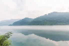 一曲《古琴禅修》，一回眸一转身，都在心里化成了风图片