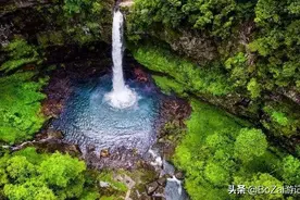 广西最美四大森林，有一处是露营的胜地，你去过吗？图片