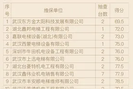 武汉市九成电梯维保质量优良10家电梯维保单位综合评分靠后图片