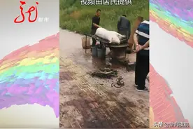 居民半夜被一种声音惊醒，循声望去才知道，有人当街杀猪图片