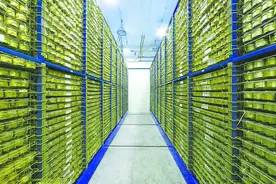 世界粮食计划署警告，2021或爆发全球饥荒，中国正全力应对图片
