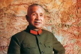 开国将帅公认的"战略家"图片