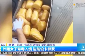 临沧：外籍女子带毒入境 边防设卡抓获视频封面