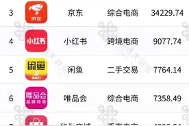手机淘宝“月活”比京东多2300万，拼多多比京东更高图片