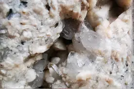 太闪了！福州这个公园的岩石里长出了“水晶”，专家这样解释图片