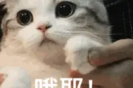哭了！龙岩3月房价和平均工资出炉！又扎心了图片