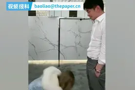 辛选又一网红主播涉虚假宣传被封，曾磕头跪拜辛有志为师图片