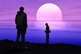 睡前夜话：这几年我变了， 学会了让舍得的和舍不得的都随缘了。图片