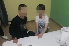 沭阳警方抓获2名盗窃嫌疑人，破案9起图片