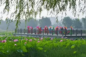 寻一处僻静，觅一份悠闲——城中美景辽河公园图片