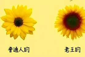 拉屎不畅，一查癌细胞都到肝了！大便出现这3种情况，尽早就医！图片