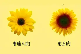 拉屎不畅，一查癌细胞都到肝了！大便出现这3种情况，尽早就医！图片