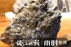 父子俩山里挖到“狗头金”，有人说值1800万！图片